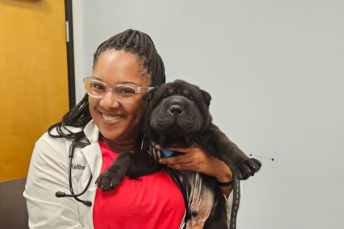 A canine patient with the doctor A canine patient with the doctor